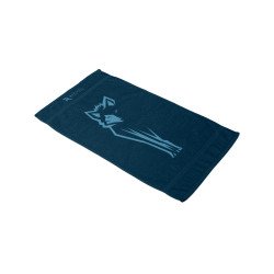 Carton de 50 serviettes